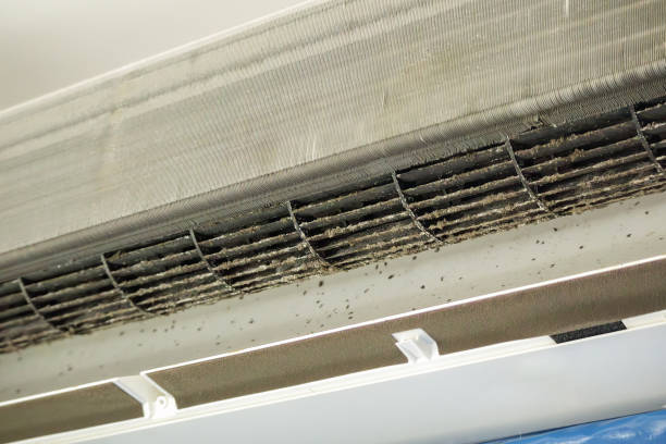 Best Local Air Duct Cleaning Services  in Pinckney, MI